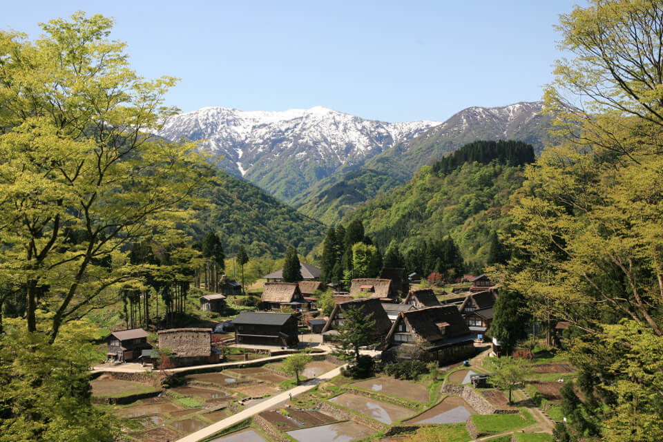 五箇山勇助